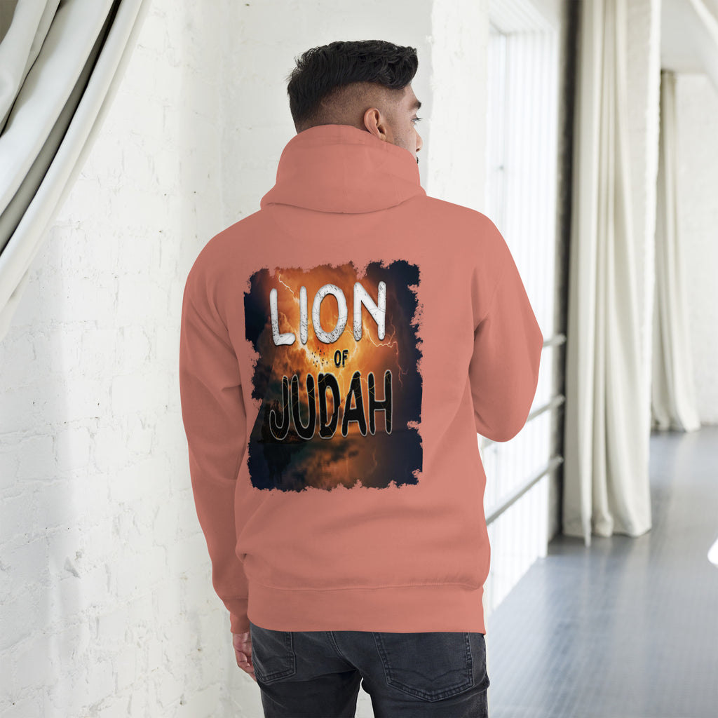 Jesus Lion of Judah - Unisex Hoodie