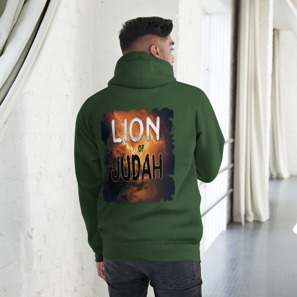 Jesus Lion of Judah - Unisex Hoodie