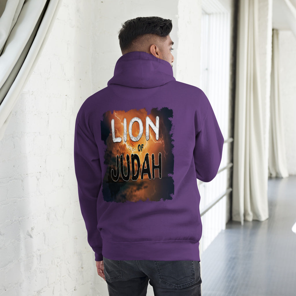 Jesus Lion of Judah - Unisex Hoodie